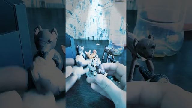 Моя коллекция собак