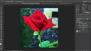 How to Make Background Transparent in Photoshop Using the Pen Tool