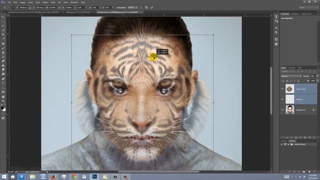 Photoshop Tutorial: How to Transform Yourself into an Animal! смотреть онлайн