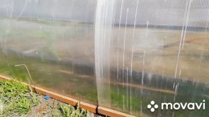 ИЗГОТОВЛЕНИЕ ПОЛИКАРБОНАТНЫХ УКРЫТИЙ