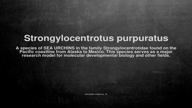Medical vocabulary: What does Strongylocentrotus purpuratus mean смотреть онлайн