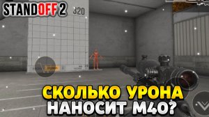 Сколько урона наносит м40 в стандофф 2