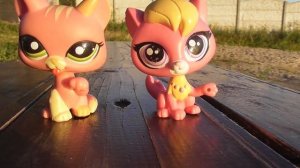 LPS обзор: Сравниваем Littlest Pet Shops из старой коллекции и из новой.