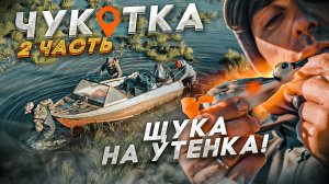Поймали ЩУКУ НА РЕЗИНОВУЮ УТКУ! ? И все таки ВСТРЕТИЛИСЬ С МЕДВЕДЕМ! Duck fishing. Чукотка, часть 2