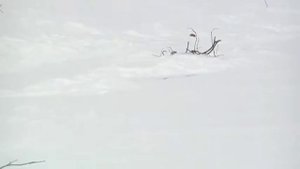 22.03.2012 р.Кундола