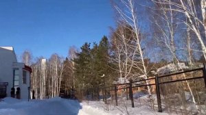 Санаторий Хвойный подарок на 8 марта 2022 года