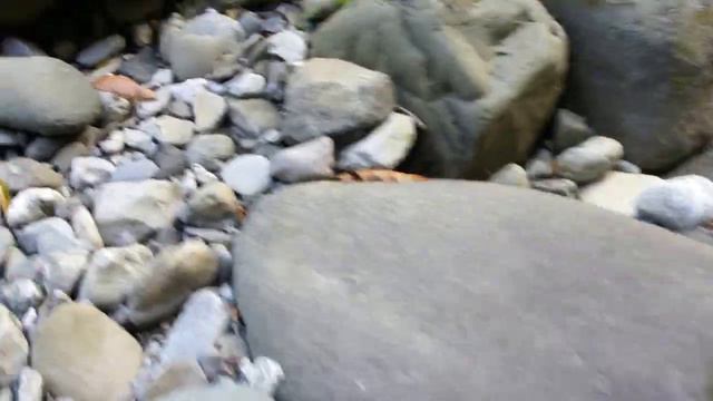 Сочи горная речка смотреть онлайн