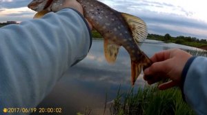 Рыбалка в Марий эл Кокшага. 4 заброс и щука ! копия Zipbaits orbit80 тест