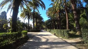 Абхазия в декабре. Начало зимы в Гаграх