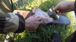 Рыбалка с Ночёвкой на Закидушки. Двое суток с Женой и Жориком. Копчёный Карп.