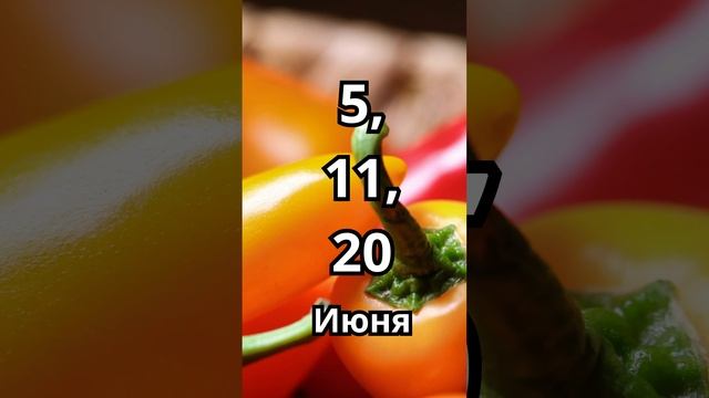 Благоприятные дни для посадки Перца в Июне 2023