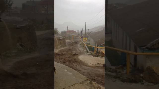 Анди 25.05.2015 год смотреть онлайн