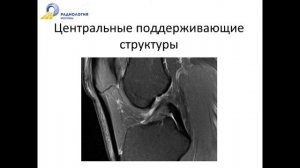 Базовый курс по МРТ «МР анатомия коленного сустава и методика сбора данных 2» Лектор Катков А М