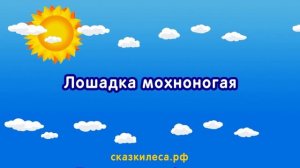 В лесу родилась ёлочка. Караоке