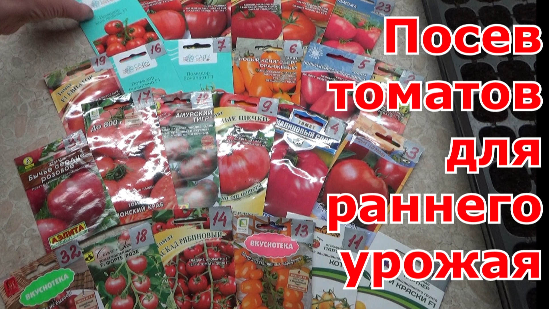 Посев томатов для раннего урожая. Какие сорта томатов выбрала для первого посева томатов.