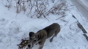 Проводники в загробный мир секретный фильм