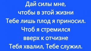 Тебя я Боже умоляю Sharikov Family Band