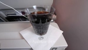 QATAR AIRWAYS A380-800 ECONOMY CLASS QR041 PARIS - DOHA