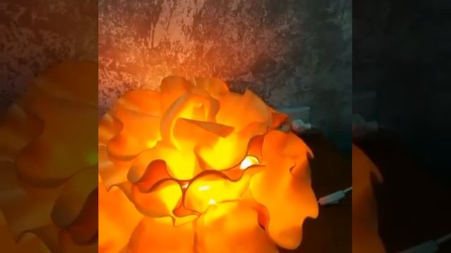 Роза,, Софии Лорен,, светильник смотреть онлайн