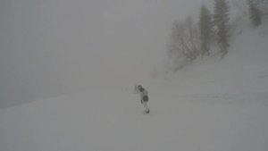 2024-03-04. Сочи. Роза Хутор. Явор (зелёная). ТУМАН