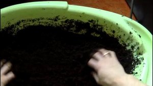 РАЗВЕДЕНИЕ ЧЕРВЕЙ ОТ А до Я.