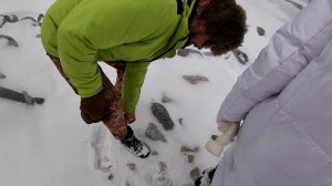 Кавказ. Кабардино Балкария и Приэльбрусье. Что посмотреть зимой и где начать кататься на сноуборде?