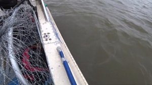 Вот это РЫБАЛКА на Дону! Рыбалка в Калаче 2021! Судак на джиг! отличное открытие СЕЗОНА!