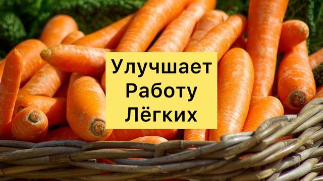Чем Полезна Морковь?