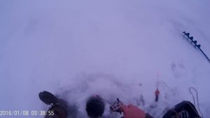 Ловля окуня и судака зимой на балансир. Зимняя рыбалка, блеснение окуня и судака, видео.