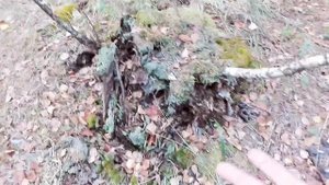 СУБАРУ НЕ ЕДЕТ ! Forester SF5 EJ20K Sti 6mt