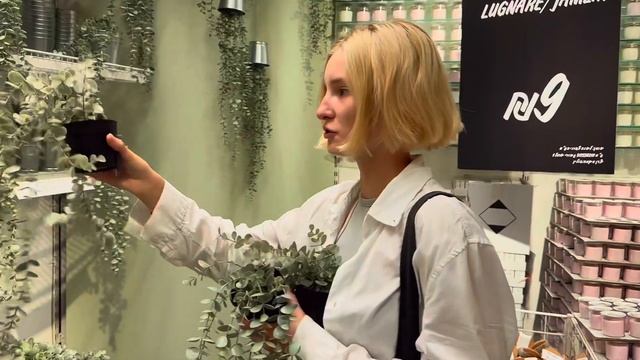 ОБОРУДОВАНИЕ | РЕМОНТ | ПИЛАТЕС | БИЗНЕС В ИЗРАИЛЕ смотреть онлайн