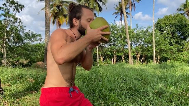 Как открыть кокос мачетой смотреть онлайн