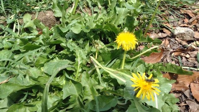 6 de octubre de 2016 смотреть онлайн