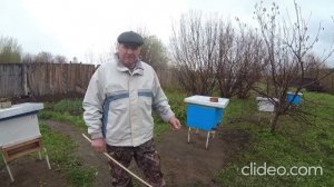 Высота улья над землёй.