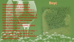 Мерло виноград(технический сорт)