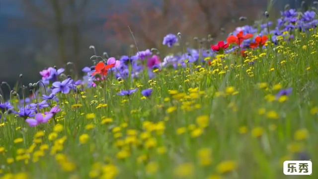 ПРОСТИЛА. Читает автор произведения ЭльХан. смотреть онлайн