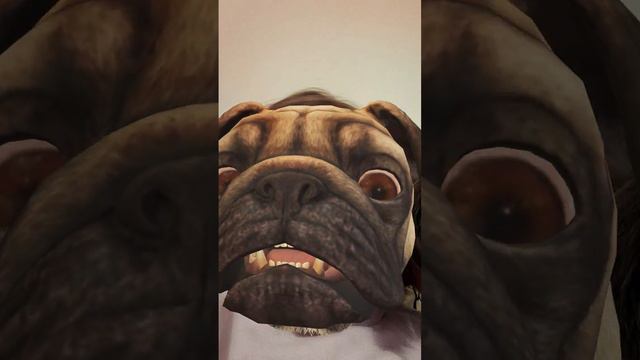 Snapchat 2110210900 #Podgorica #ЦрнаГора смотреть онлайн