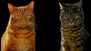 Advert - Kitekat - 1995