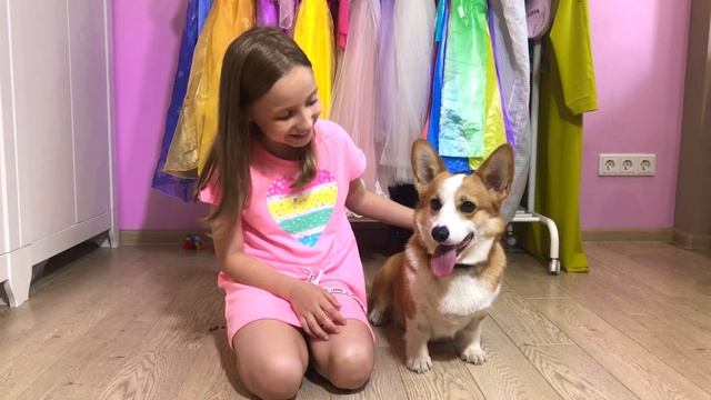 Соня понимает язык своей собаки корги Перси. Видео для детей про лучший день в жизни одной собаки.