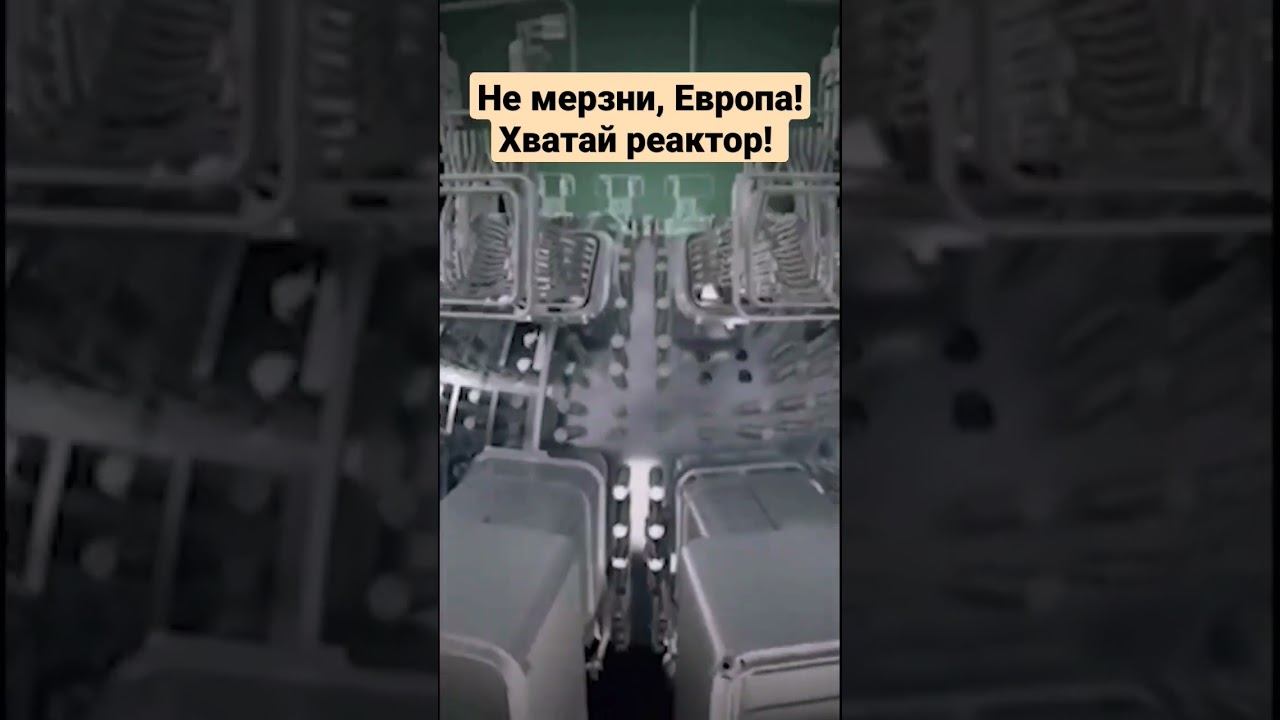 Rogandar NEWs на RUTUBE: 7453 видео – смотреть онлайн и бесплатно ...