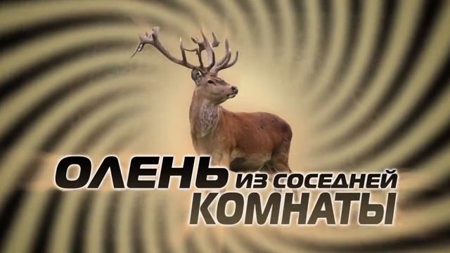 Вдруг из соседней комнаты послышался бег