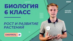 Рост и развитие растений. Видеоурок 23. Биология 6 класс