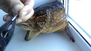 Ремонт безынерционной катушки для рыбалки.