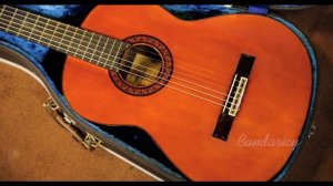 1967 Yamaha GC-5 Classical Guitar （Brazilian rosewood back and sides）