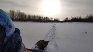 Мотобуксировщик 380 гусеница, двигатель Карвер 7л , редуктор автомат, небольшой обзор!!!!