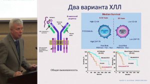 Птушкин В.В. Выбор терапии первой линии для пациентов с хроническим лимфолейкозом | Лимфолейкоз