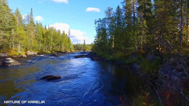 Northern Karelia. Walking along the river / Северная Карелия. Прогулка по реке