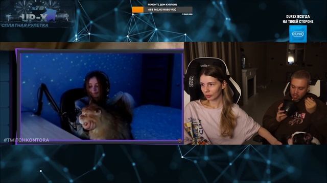 VISSHENKA смотрит ТВИЧКОНТОРА - ОТМЫВ ДЕНЕГ, Кардеры, Платное продвижение, Na`Vi PGL Major смотреть онлайн