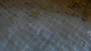 Конденсат на крыше. Ошибки строительства. Утепление крыши.