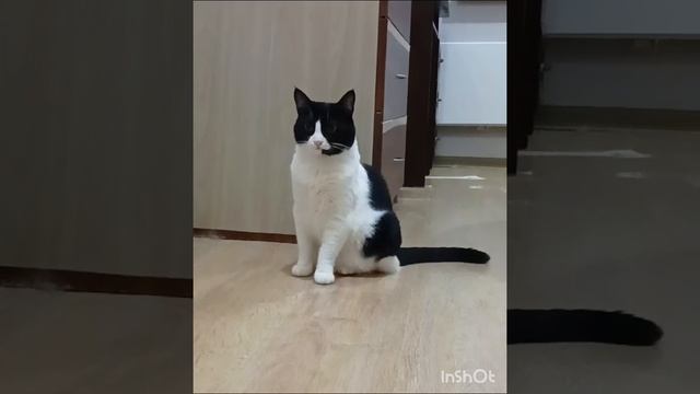 деньрождения.mp4